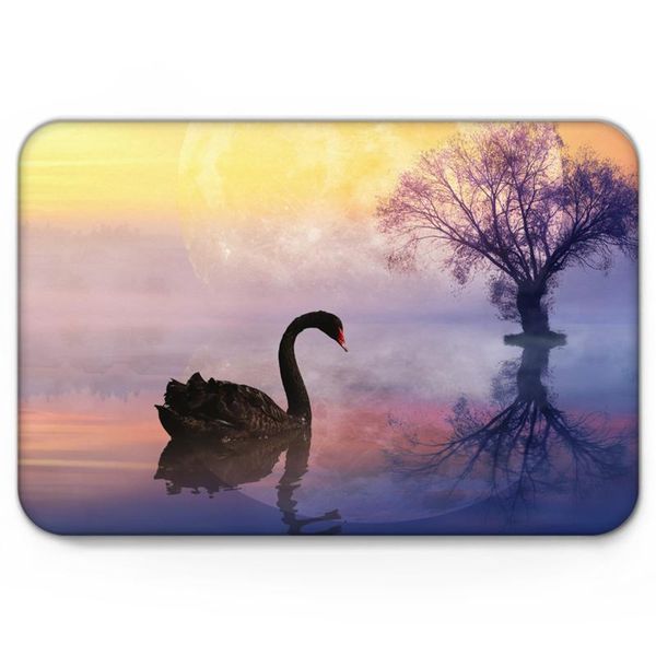 cushion/decorative pillow wonderland lake water dead tree moon black swan doormat non-slip rug soft bath mats bathroom supplies carpet livin
cushion/decorative pillow wonderland lake water dead tree moon black swan doormat non-slip rug soft bath mats bathroom supplies carpet livin