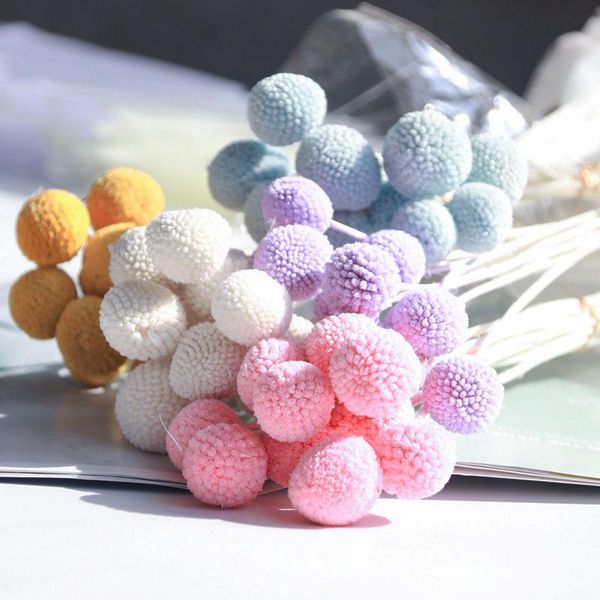 natural dried flower forever golden orbs artificial romantic floral wedding decor home decoration accessories for living room decorative flo
natural dried flower forever golden orbs artificial romantic floral wedding decor home decoration accessories for living room decorative flo