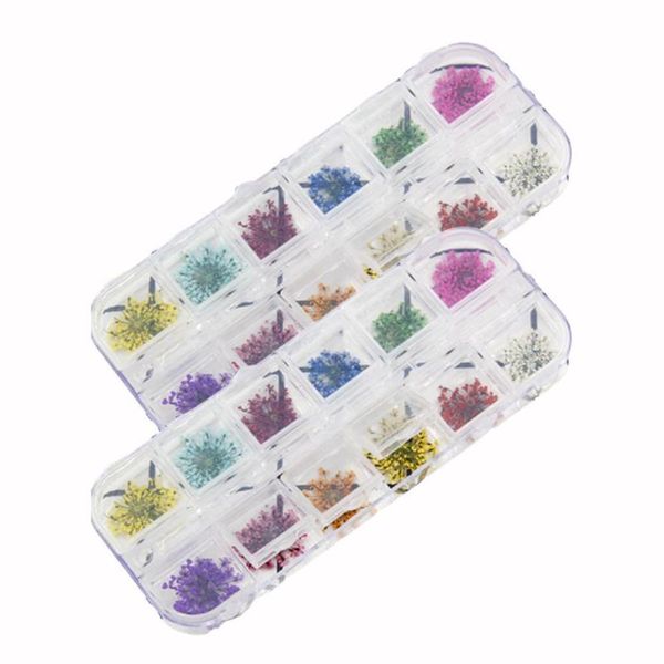 decorative flowers & wreaths 12 grid/box crystal epoxy filler dry flower handmade filling uv diy silicone material craft decor resin dried m
decorative flowers & wreaths 12 grid/box crystal epoxy filler dry flower handmade filling uv diy silicone material craft decor resin dried m