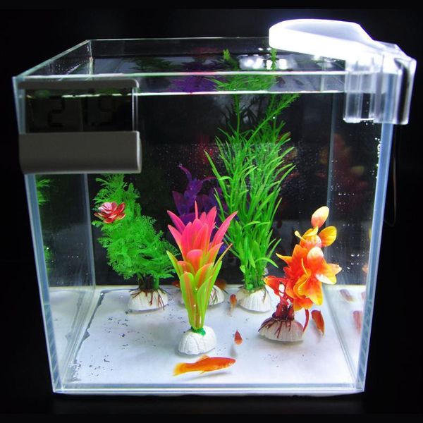 aquariums lighting mini 5w clip led aquarium light clip-on underwater waterproof aquatic plants grow lamp submersible fish tank bar lights t
aquariums lighting mini 5w clip led aquarium light clip-on underwater waterproof aquatic plants grow lamp submersible fish tank bar lights t
