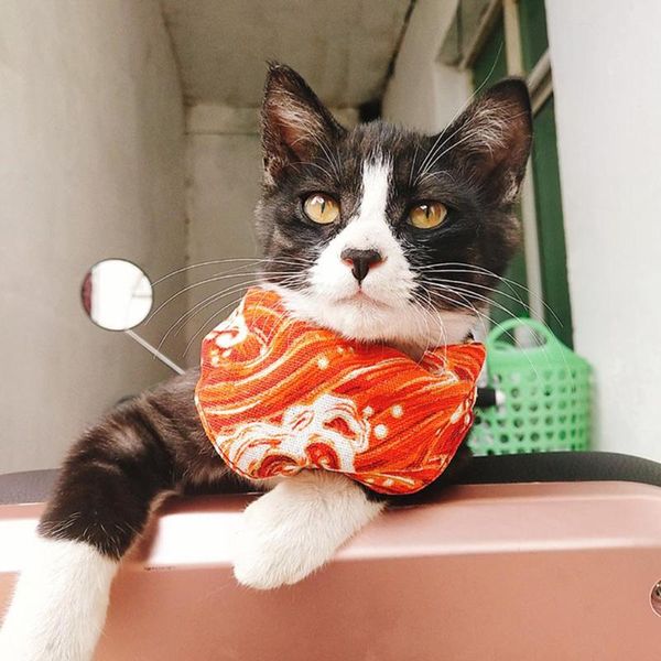 dog apparel adeeing pet triangular scarf double layer cotton linen fruit printing saliva towel random color
dog apparel adeeing pet triangular scarf double layer cotton linen fruit printing saliva towel random color