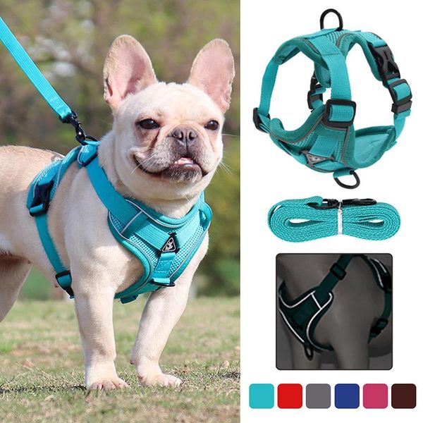 dog collars & leashes pet reflective nylon harness no pull adjustable medium large naughty
dog collars & leashes pet reflective nylon harness no pull adjustable medium large naughty