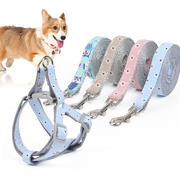 pet leash daisy dog breast strap walk harness fashion collars & leashes
pet leash daisy dog breast strap walk harness fashion collars & leashes