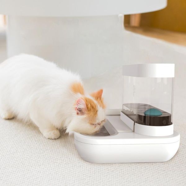 style pet cat bowl dog for cats feeder bowls kitten automatic drinking fountain 1.5l capacity puppy feeding waterer products & feeders
style pet cat bowl dog for cats feeder bowls kitten automatic drinking fountain 1.5l capacity puppy feeding waterer products & feeders