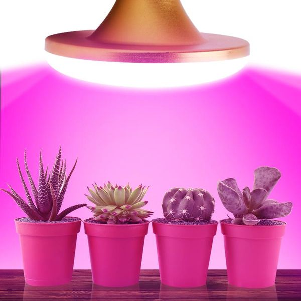 led grow lights 220v plant full spectrum lamp for indoor plants flowers fruit seedling phyto lamps growing
led grow lights 220v plant full spectrum lamp for indoor plants flowers fruit seedling phyto lamps growing