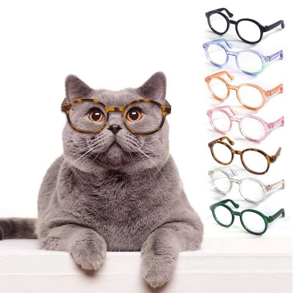 dog car seat covers creative pos props pet glasses accessoires teddy eye-wear sunglasses pets party decor
dog car seat covers creative pos props pet glasses accessoires teddy eye-wear sunglasses pets party decor