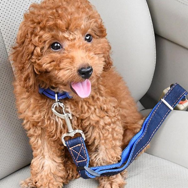 pet supplies car seat belt dog leash vehicle adjustable cushioning elastic reflective safety rope for cat covers
pet supplies car seat belt dog leash vehicle adjustable cushioning elastic reflective safety rope for cat covers