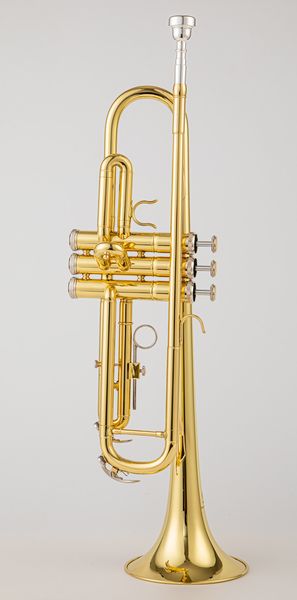 4335 bb trumpet b flat brass silver plated professional trumpet musical instruments with leather case
4335 bb trumpet b flat brass silver plated professional trumpet musical instruments with leather case