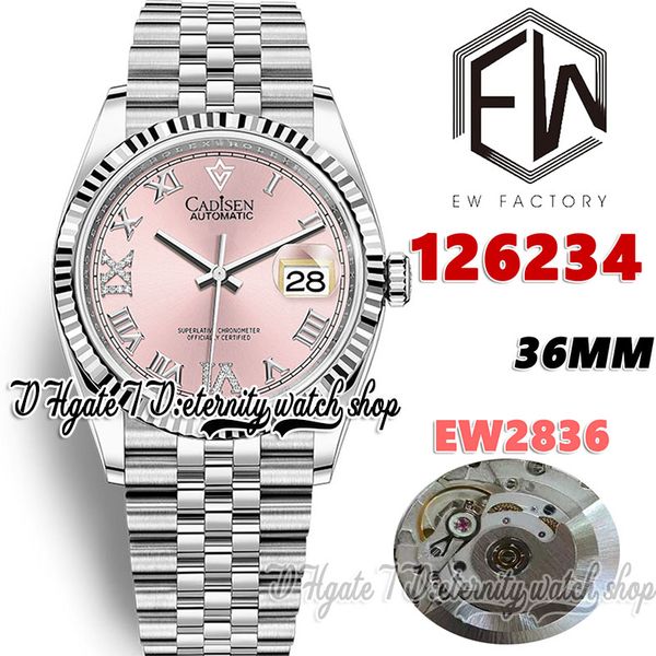 ewf v3 ew126234 ew2836 automatic womans watch 36mm fluted bezel pink dial roman markers 904l steel bracelet with same serial warranty card e, Slivery;brown
ewf v3 ew126234 ew2836 automatic womans watch 36mm fluted bezel pink dial roman markers 904l steel bracelet with same serial warranty card e, Slivery;brown