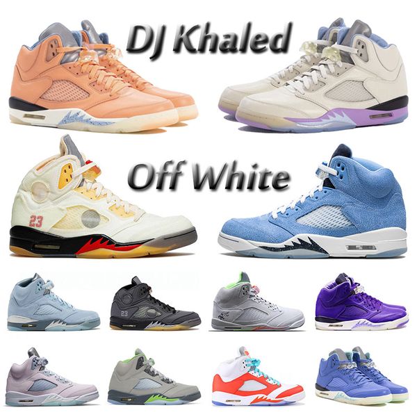 dj khaled x we the jumpman 5 basketball shoes mens designer 5s v green bean hare gators fire red black muslin big size 13 eur 40-47
dj khaled x we the jumpman 5 basketball shoes mens designer 5s v green bean hare gators fire red black muslin big size 13 eur 40-47