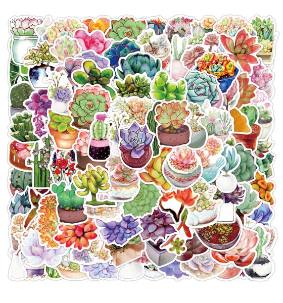 50pcs lot cartoon plant succulent graffiti stickers for kids water bottle wall diy phone case toys notebook toys lapskateboard book car deca
50pcs lot cartoon plant succulent graffiti stickers for kids water bottle wall diy phone case toys notebook toys lapskateboard book car deca