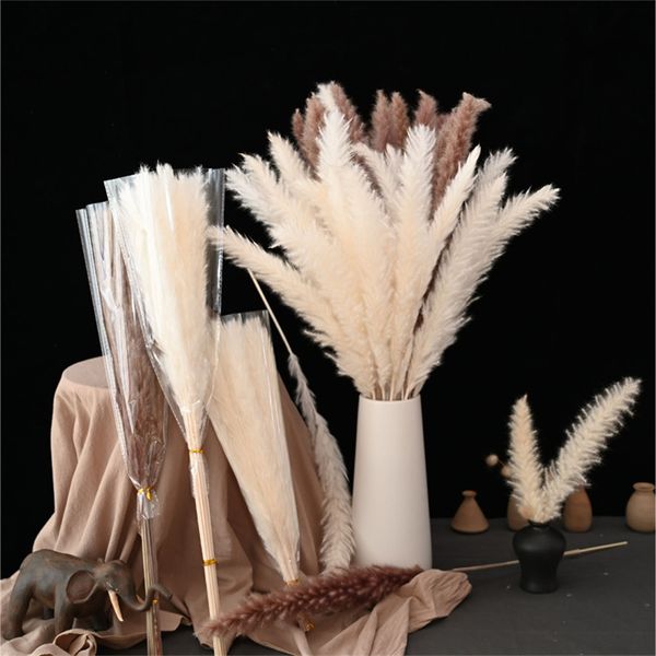 dried pampas grass pampas branches for vase flower arrangement wedding kitchen artificial flowers home decoration
dried pampas grass pampas branches for vase flower arrangement wedding kitchen artificial flowers home decoration