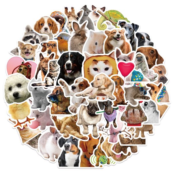new 52pcs dog cute animal funny graffiti sticker diy luggage lapguitar motorcycle skateboard ins kids classic toy sticker decal
new 52pcs dog cute animal funny graffiti sticker diy luggage lapguitar motorcycle skateboard ins kids classic toy sticker decal