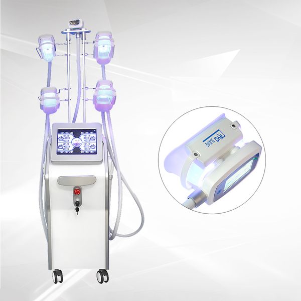 5 handles fat cryolipolysis multi machine e slimming machine
5 handles fat cryolipolysis multi machine e slimming machine