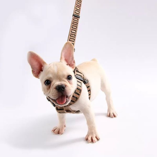 fashion dog collar harness luxury large medium small fighting schnauzer bulldog teddy leashes, Silver
fashion dog collar harness luxury large medium small fighting schnauzer bulldog teddy leashes, Silver
