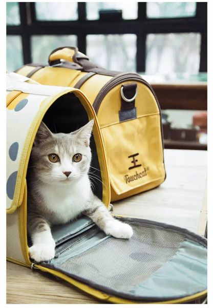 large capacity travel luggages cdletter buckle portable printed case pet bag cat dog high small house hand and moving go out for pet bags du, Black;red
large capacity travel luggages cdletter buckle portable printed case pet bag cat dog high small house hand and moving go out for pet bags du, Black;red