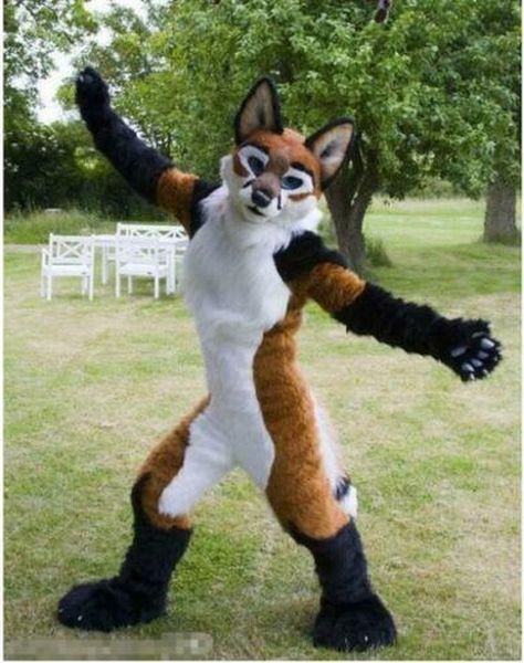 mascot doll costume long-haired fox terrier head long fur fursuit brown husky dog mascot party game size outfits hallowee, Red;yellow
mascot doll costume long-haired fox terrier head long fur fursuit brown husky dog mascot party game size outfits hallowee, Red;yellow