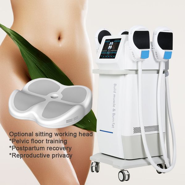emslim muscle stimulator body sculpting machine ems rf muscle building burn fat butt lifting
emslim muscle stimulator body sculpting machine ems rf muscle building burn fat butt lifting