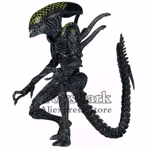 aliens 7 avp grid alien action figure alien vs predator ko's neca series 7 toys doll 1008279t
aliens 7 avp grid alien action figure alien vs predator ko's neca series 7 toys doll 1008279t
