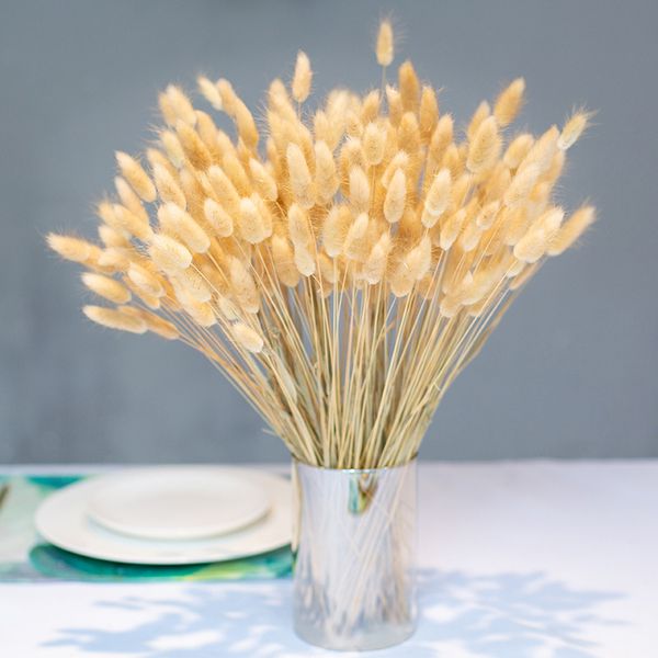 50pcs boho wedding party flower arrangements reed rabbit tail grass for home room decoration natural dried pampas grass
50pcs boho wedding party flower arrangements reed rabbit tail grass for home room decoration natural dried pampas grass