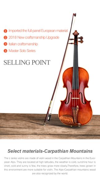 master christina solo s500c professional violin 4/4 with imported europe maple wood material, violino 3/4 fiddle case,rosin,bow
master christina solo s500c professional violin 4/4 with imported europe maple wood material, violino 3/4 fiddle case,rosin,bow