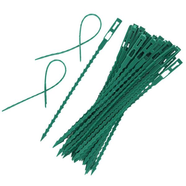 garden supplies 100pcs adjustable plastic plant cable ties reusable for garden tree climbing support vine tomato stem clip
garden supplies 100pcs adjustable plastic plant cable ties reusable for garden tree climbing support vine tomato stem clip