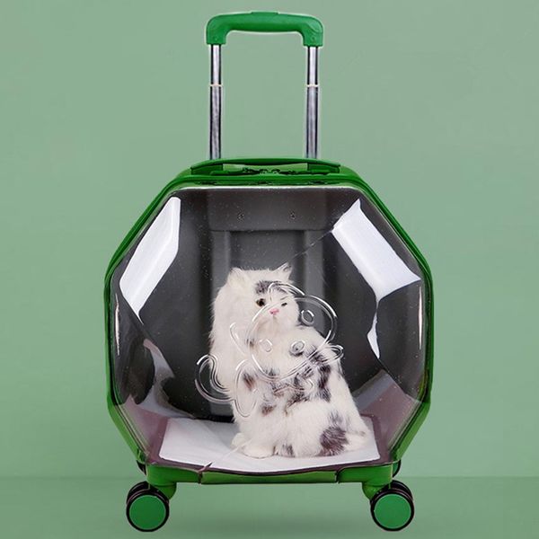 pet trolley case cat dog travel bag pc suitcase luggage universal 4 wheel storage box breathable handbag transparent pets carrying backpack
pet trolley case cat dog travel bag pc suitcase luggage universal 4 wheel storage box breathable handbag transparent pets carrying backpack