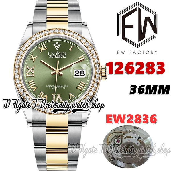 ewf v3 ew126283 ew2836 automatic ladies watch diamonds bezel green dial roman markers two tone 904l steel bracelet with same serial warranty, Slivery;brown
ewf v3 ew126283 ew2836 automatic ladies watch diamonds bezel green dial roman markers two tone 904l steel bracelet with same serial warranty, Slivery;brown