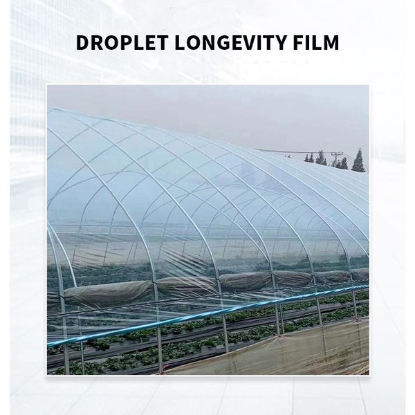 chemicals rubber & plastics other raw materials manufacturers supply agricultural drip-greenhouse film
chemicals rubber & plastics other raw materials manufacturers supply agricultural drip-greenhouse film