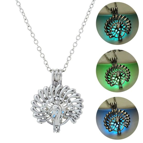 glowing pendant necklace luminous beads stone necklace glow in the dark necklace for women men halloween gift, Silver
glowing pendant necklace luminous beads stone necklace glow in the dark necklace for women men halloween gift, Silver