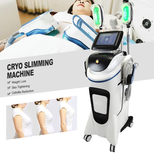 2022 new product cryo and ems ing machine rf cavitation with laser stomach wrap cryo slim
2022 new product cryo and ems ing machine rf cavitation with laser stomach wrap cryo slim