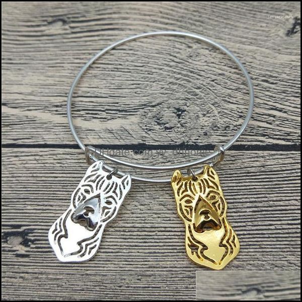 bangle bracelets jewelry trendy american staffordshire terrier bangles cute dog fashion animal pet jewellery1 drop delivery 2021 g8t9d, Black
bangle bracelets jewelry trendy american staffordshire terrier bangles cute dog fashion animal pet jewellery1 drop delivery 2021 g8t9d, Black