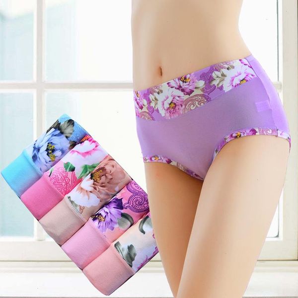 3pcs lot plus size women underwear panties seamless briefs calcinha intimates underpants ropa lingerie s-4xl, Black;pink
3pcs lot plus size women underwear panties seamless briefs calcinha intimates underpants ropa lingerie s-4xl, Black;pink