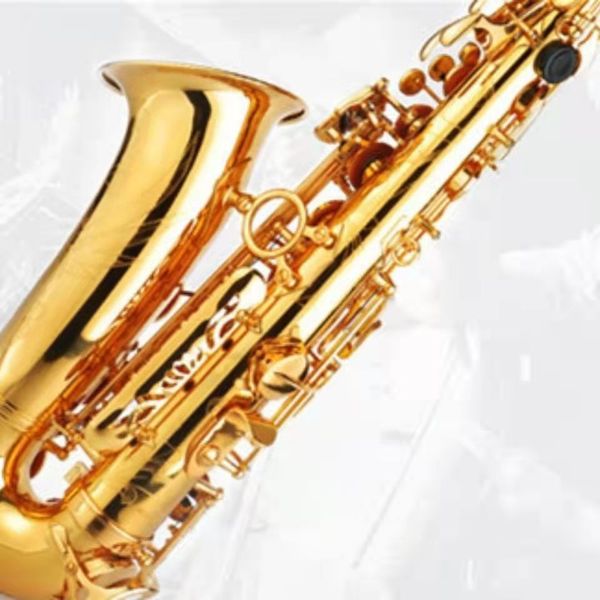 alto saxofon electrophoresis gold alto saxophone flat e key profesional playing instruments
alto saxofon electrophoresis gold alto saxophone flat e key profesional playing instruments