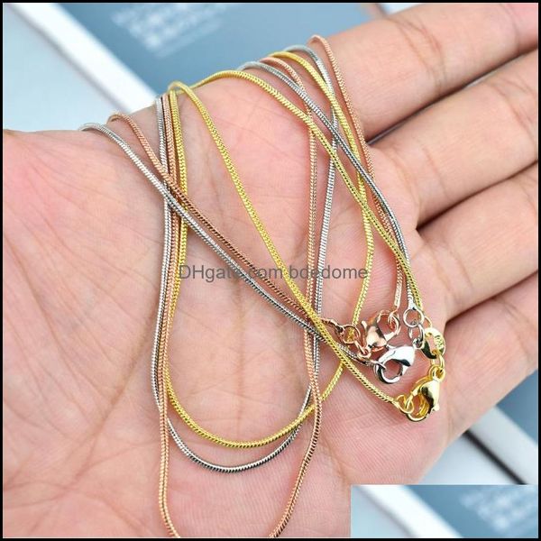 chains 10pcs ins retro snake bone chain gold niche design light necklace luxury flat clavicle bracelet drop delivery 20 bdedome dhcq3, Silver
chains 10pcs ins retro snake bone chain gold niche design light necklace luxury flat clavicle bracelet drop delivery 20 bdedome dhcq3, Silver