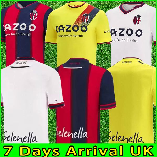 2022 2023 bologna fc soccer jerseys bfc maglia da calcio sansone orsolini santander palacio dominguez tomiyasu barrow soriano svanberg 22/23, Black;yellow
2022 2023 bologna fc soccer jerseys bfc maglia da calcio sansone orsolini santander palacio dominguez tomiyasu barrow soriano svanberg 22/23, Black;yellow