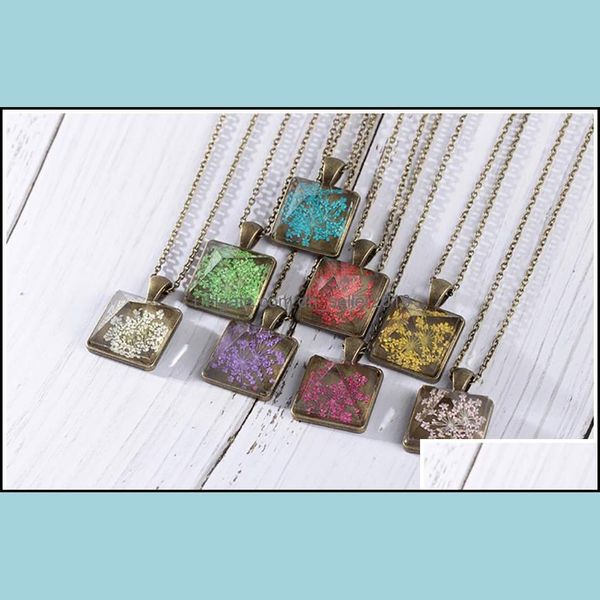 pendant necklaces dried fowers beautifly glass necklace women square drop delivery 2021 jewelry pendants dhseller2010 dhk1h, Silver
pendant necklaces dried fowers beautifly glass necklace women square drop delivery 2021 jewelry pendants dhseller2010 dhk1h, Silver