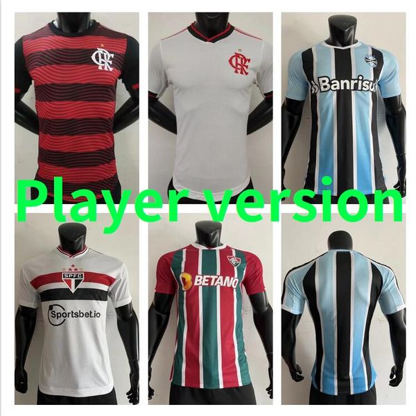 player version 2022 fluminense soccer jerseys fred g. cano felipe melo ph ganso luiz henrique andre football shirt flamengo de arrascaeta di, Black;yellow
player version 2022 fluminense soccer jerseys fred g. cano felipe melo ph ganso luiz henrique andre football shirt flamengo de arrascaeta di, Black;yellow