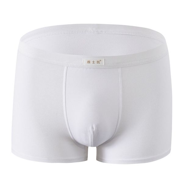 boxer underwear white cotton boxershorts u pouch panties men underpants male youth underware 4 pcs plus size 4xl 5xl y200414, Black;white
boxer underwear white cotton boxershorts u pouch panties men underpants male youth underware 4 pcs plus size 4xl 5xl y200414, Black;white
