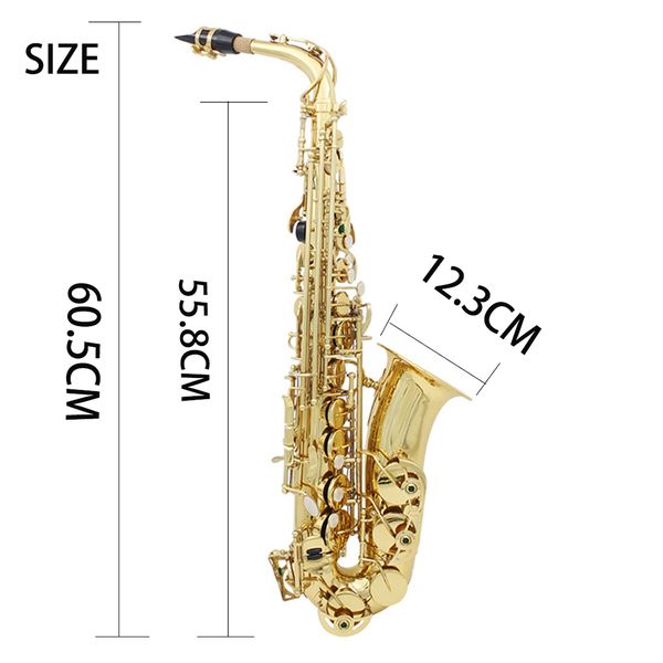 brass eb alto saxophone sax lacquered gold woodwind instrument with carry case gloves cleaning cloth brush sax strap
brass eb alto saxophone sax lacquered gold woodwind instrument with carry case gloves cleaning cloth brush sax strap