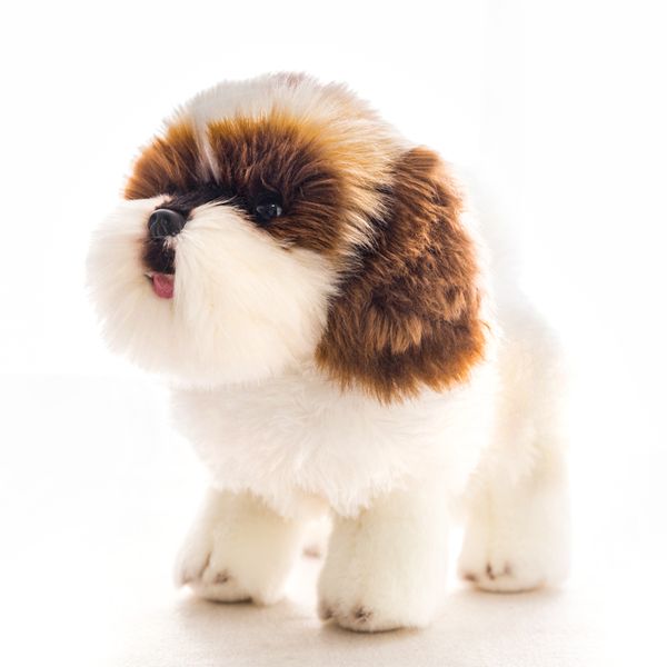 quality realistic animal poodle plush toy mini simulation white dog doll children's gift sofa car decoration 26x23cm dy10082
quality realistic animal poodle plush toy mini simulation white dog doll children's gift sofa car decoration 26x23cm dy10082