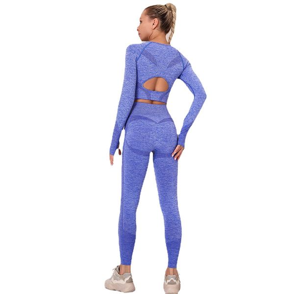 tracksuits energy women's seamless sets 2 pcs gym suits long sleeve push up leggings high waist pants running yoga suits, Gray
tracksuits energy women's seamless sets 2 pcs gym suits long sleeve push up leggings high waist pants running yoga suits, Gray