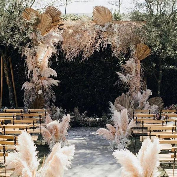 the new dried flower 20pcs/lot whole phragmites natural dried decorative pampas grass for home wedding decoration flower bunch242v
the new dried flower 20pcs/lot whole phragmites natural dried decorative pampas grass for home wedding decoration flower bunch242v