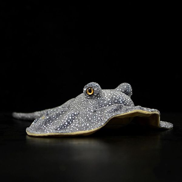 50cm length lifelike honeycomb stingray plush toy real life soft real life ray fish realistic sea animals stuffed toys for kids lj197o
50cm length lifelike honeycomb stingray plush toy real life soft real life ray fish realistic sea animals stuffed toys for kids lj197o