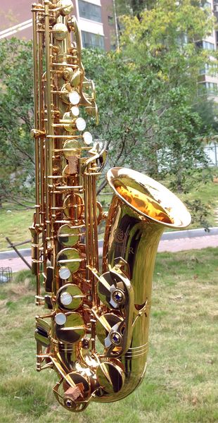 1100sg alto eb tune saxophone brass nickel silver plated body gold lacquer key music instrument e-flat sax
1100sg alto eb tune saxophone brass nickel silver plated body gold lacquer key music instrument e-flat sax