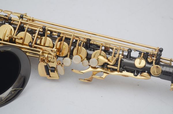 brand mfc alto saxophone 803 serie iii black lacquer e-flat alto sax with case mouthpiece reeds neck
brand mfc alto saxophone 803 serie iii black lacquer e-flat alto sax with case mouthpiece reeds neck