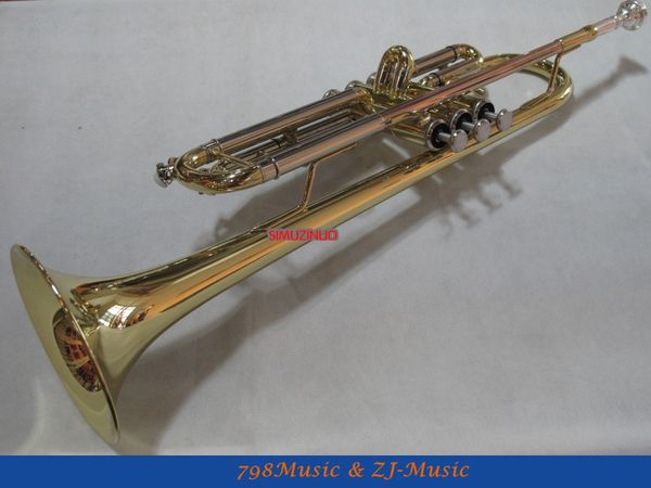 new bb trumpet professional model with case
new bb trumpet professional model with case