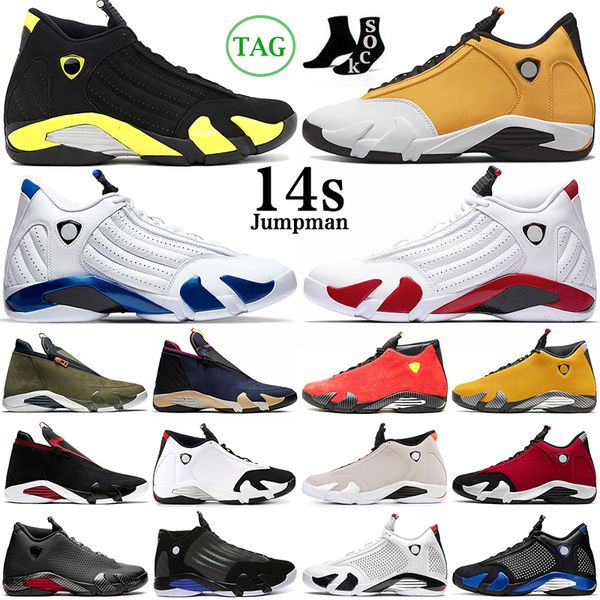 ale 14 14s men basketball shoes ginger gym blue hyper royal university gold last solive purple red mens trainers outdoor sports
ale 14 14s men basketball shoes ginger gym blue hyper royal university gold last solive purple red mens trainers outdoor sports