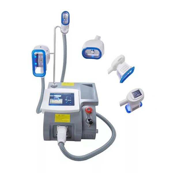 2022 portable 2 handles fat e cryolipolysis slimming machine 80k cavitation cryo body sculpting
2022 portable 2 handles fat e cryolipolysis slimming machine 80k cavitation cryo body sculpting