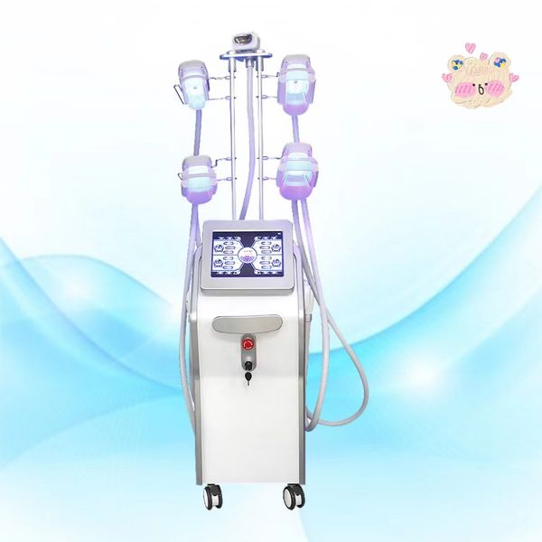 2022 new multifunctional four handles cryolipolysis double chin removal machine fat loosing cool body sculpting slimming four handle working
2022 new multifunctional four handles cryolipolysis double chin removal machine fat loosing cool body sculpting slimming four handle working